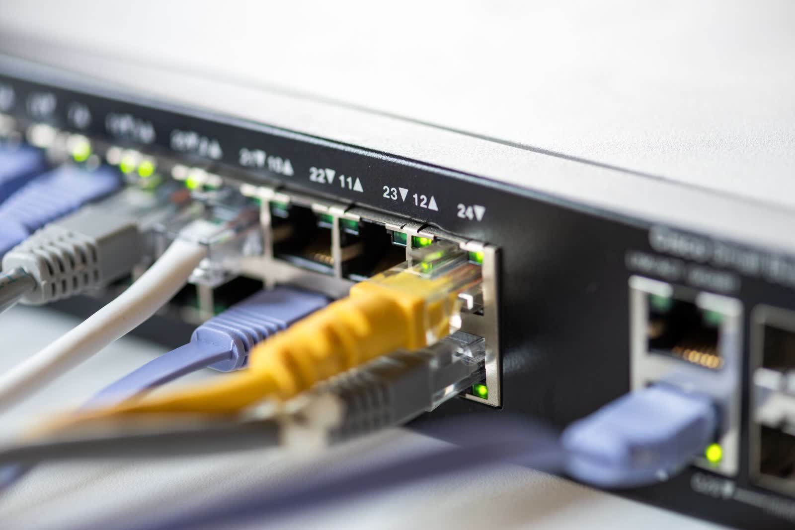 Netzwerk-Switch mit eingesteckten Patchkabeln